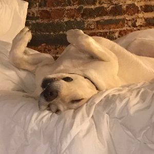 Meet your Posher, Daniel